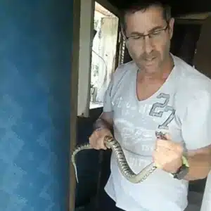 רז בירן – לוכד נחשים3