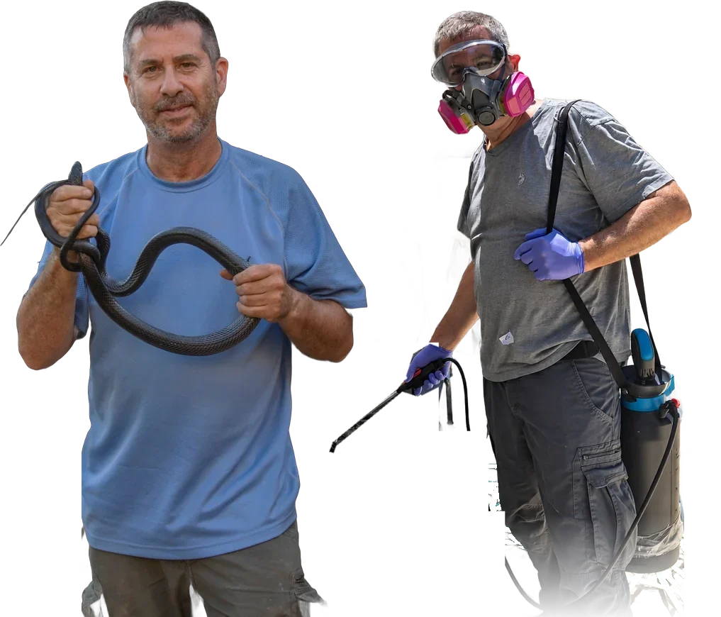 רז בירן מחזיק נחש, ובציוד מגן עם מרסס הדברה